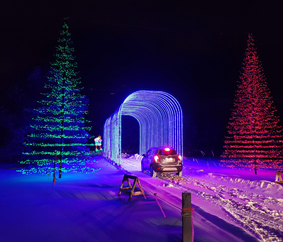 A display of figurines made up of christmas lights; a green tree and a red tree, as well as a blue arched tunnel to walk through. The ground is covered in snow and the sky is dark.