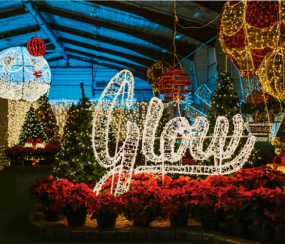 An indoor display of lights; the word "Glow" sits in the centre, made up of white sparkly lights. Below it is a bed of red poinsettias and behind it is a row of green christmas trees. There are other light displays cut off on the sides of the image like an ice cream cone and a hot air balloon, both made of lights. 