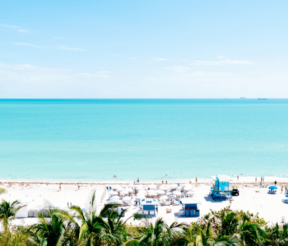 A beach; at the bottom of the image are the tops of palm trees, behind those is white sand with people scattered around, and behind that is crystal clear, bright blue water.