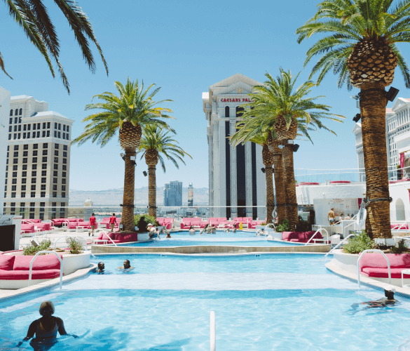 A rooftop pool. The water is light blue and there are palm trees planted at the corners of the pool. There are pink lounge chairs on the sides and in the distance there are other high-rise buildings.
