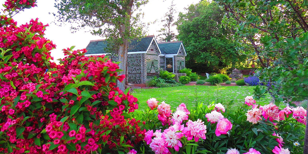 The bottle house in Cape Egmont and Point Prim are seen behind a lovely, lush bushes of pink flowers