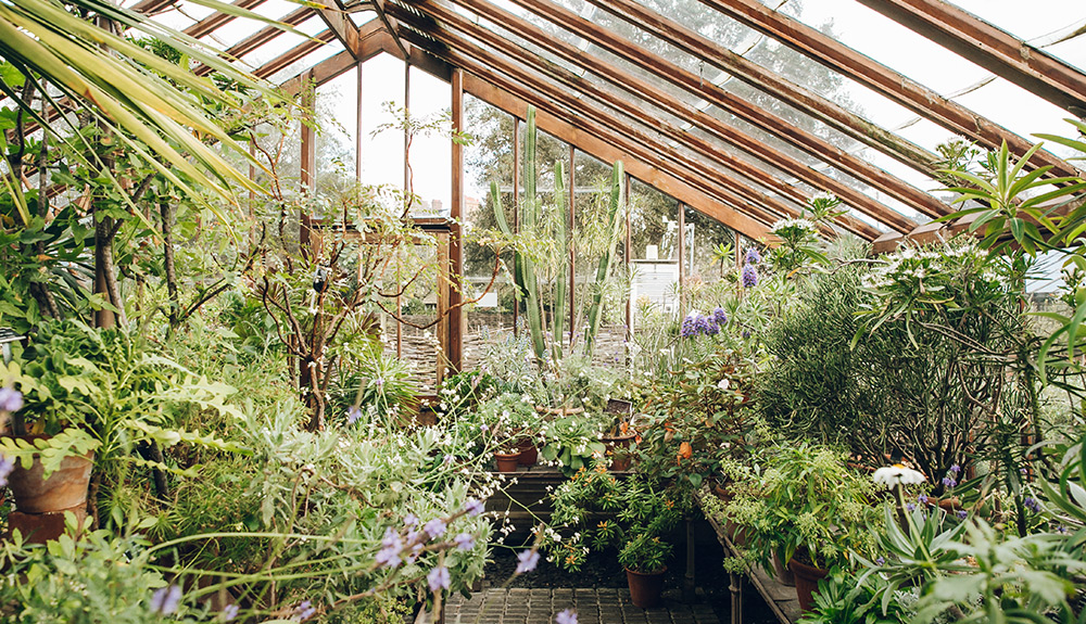 Chelsea Physic Garden, UK