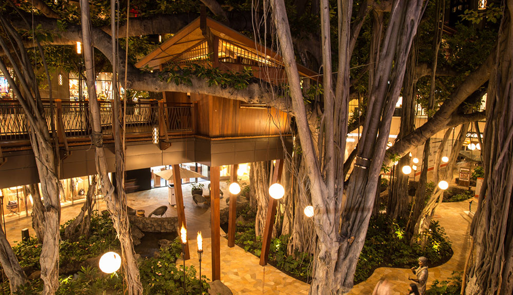 Beautiful shot of The Street, International Marketplace at night with threes, pathways and buildings held high by wooden pillars
