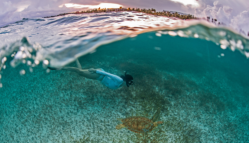 A woman dives under water, swimming down to a large sea turtle at the beaches near Secrets Akumal Riviera Maya in Mexico