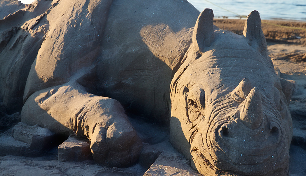 A large rhino lazes on rocky terrain