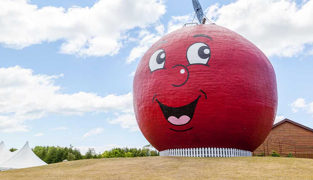 A larger-than-life red apple with a face stands on a hill with a small white picket fence around it. The apple has big round eyes and is smiling. 