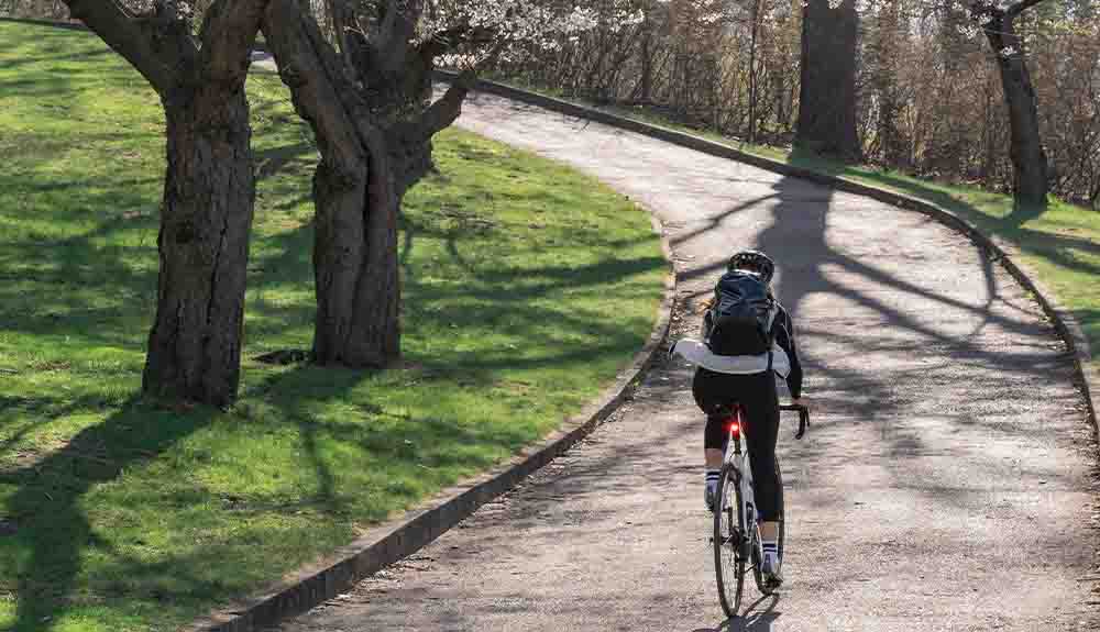 A lone cyclist wearing a backpack on a gravel trail with grass on either side of him. There is a red reflector light that is shining from his bike. There are two large trees to the left of him. 