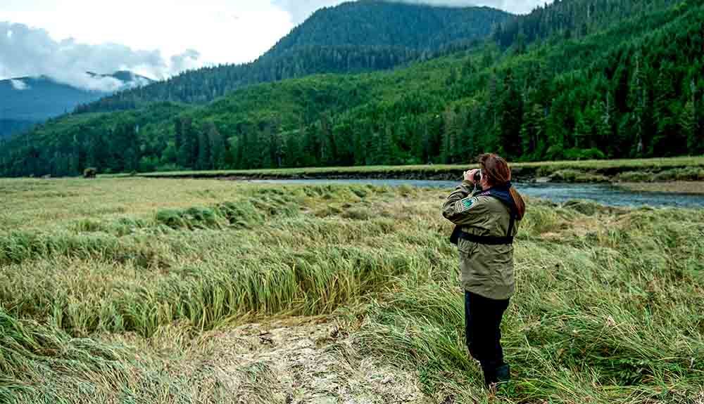 A person wearing a dark green coat with a large crest on their arm with trees in different shades of green, is standing in a grassy field. The person, who has a ponytail, is holding a pair of binoculars and looking off at the rolling hillside in the distance with trees of all shapes and colours. 
