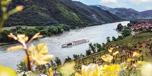 A long white river boat cruises along a grey-blue waterway amidst lush greenery and trees. In the distance you see rolling mountains of green forest and in the foreground you see yellow flowers and vineyards leading to a village with red-roofed houses in the distance.