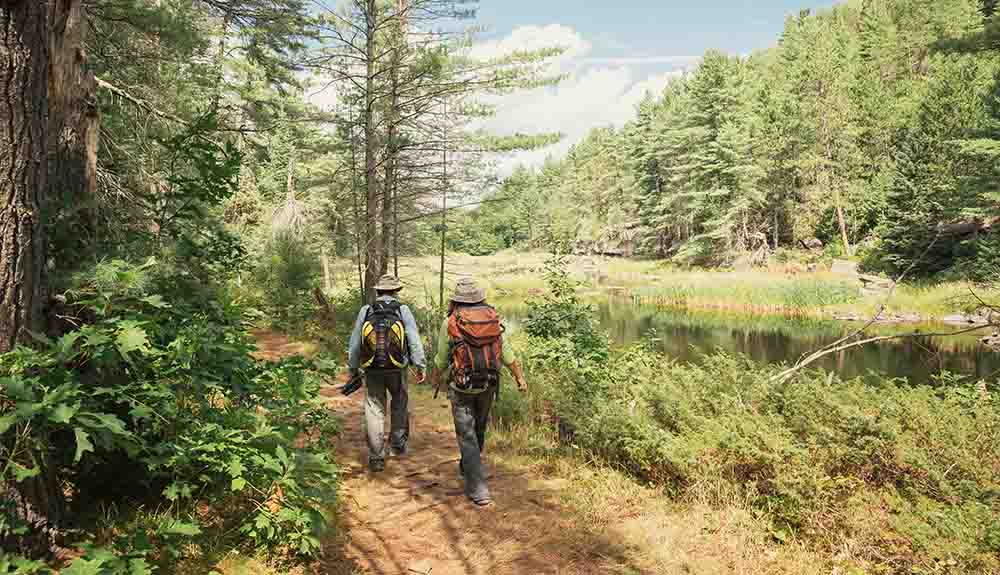 Two people wearing backpacks and hats with their backs to the camera are walking along a trail. There is a stream to the right of them, and they are surrounded by trees and plants.