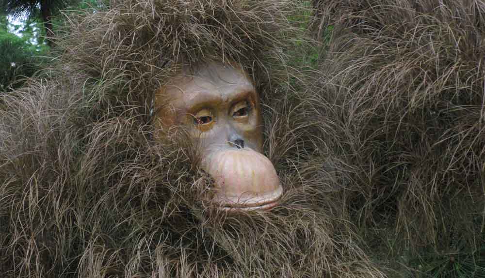 A close up of an orangutan’s face. It’s eyes are half open and is staring at something in the distance. Instead of fur, its face and body is made of long grass.