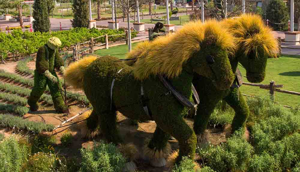 A topiary scene of a farmer dressed in overalls and a long shirt, which is differentiated by different shades of grass standing behind two oversized horses. The horses are green, while their manes are made of a yellow-looking grass. Around them are various foliage of different shapes and heights.