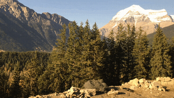 Gif of the trees and Rocky Mountains in the background as seen from Rocky Mountaineer train