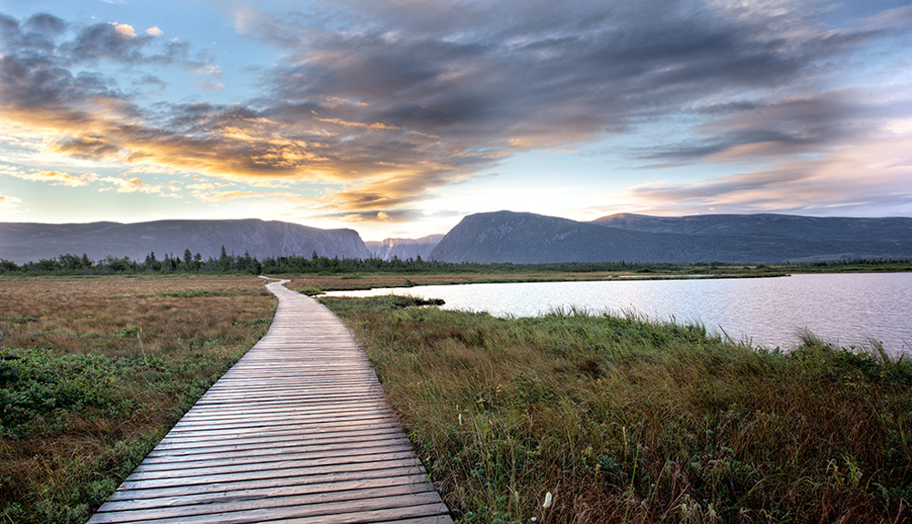 Photo submitted by Brent Fong of the quiet boardwalk  trailing through the marshes to Western Brook Pond