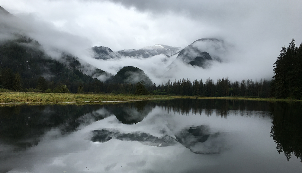 Photo submitted by Cindy Harapiak of the still glassy waters and misty mountains at Great Bear Rainforest near Klemtu, British Columbia