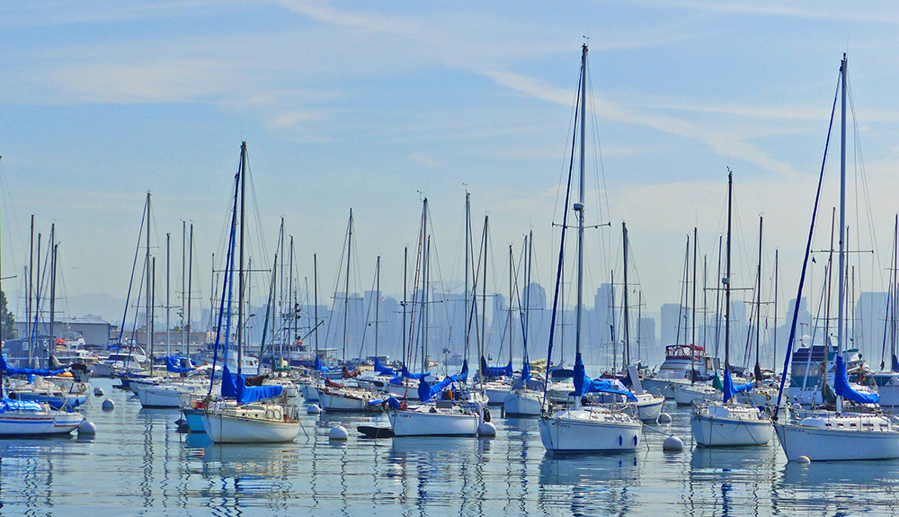 Photo submitted by Eva Clements of a busy harbour packed with identical sail boats in San Diego