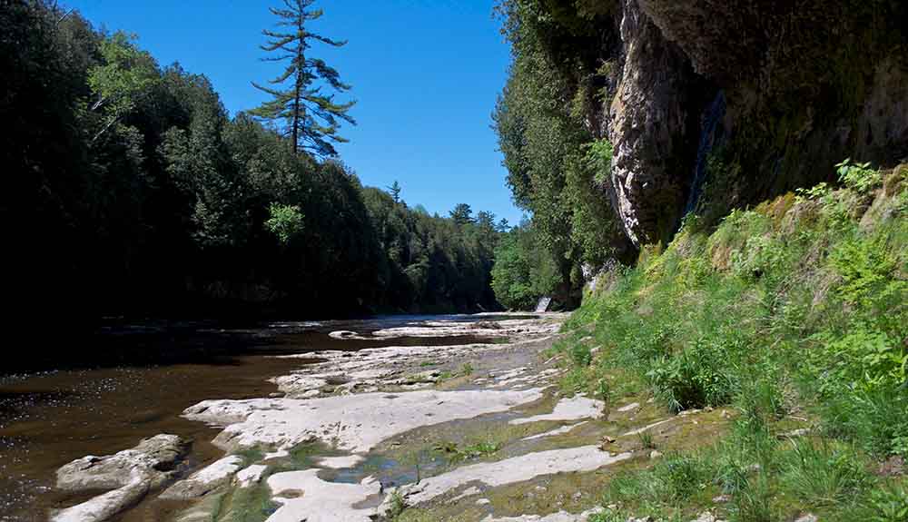 The river running along the Elora Gorge Trail