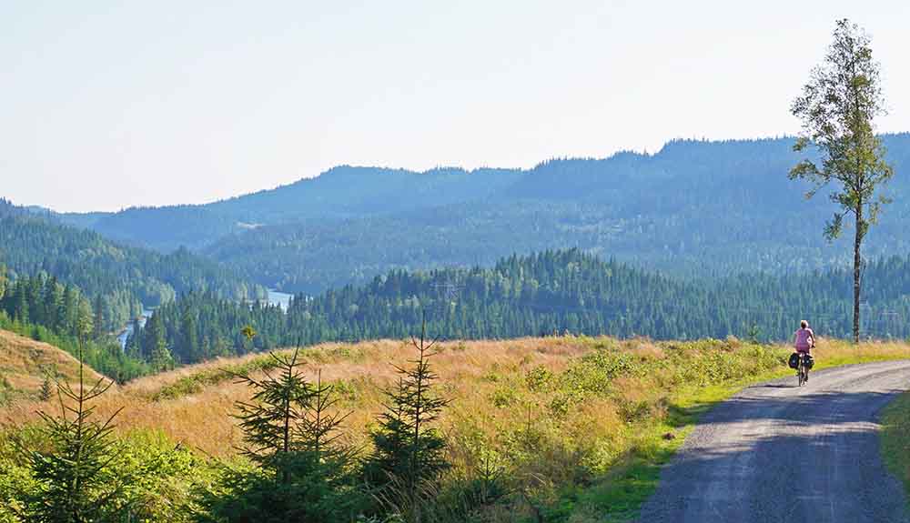 Person on a bike riding down a dirt road with a stunning view of fields and hills