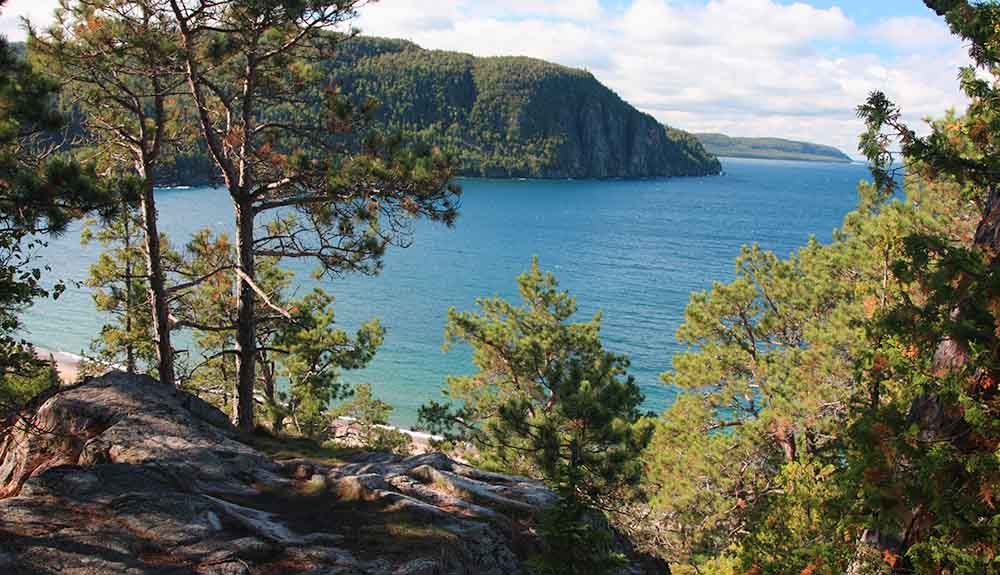 View of Lake Superior through trees in the daytime