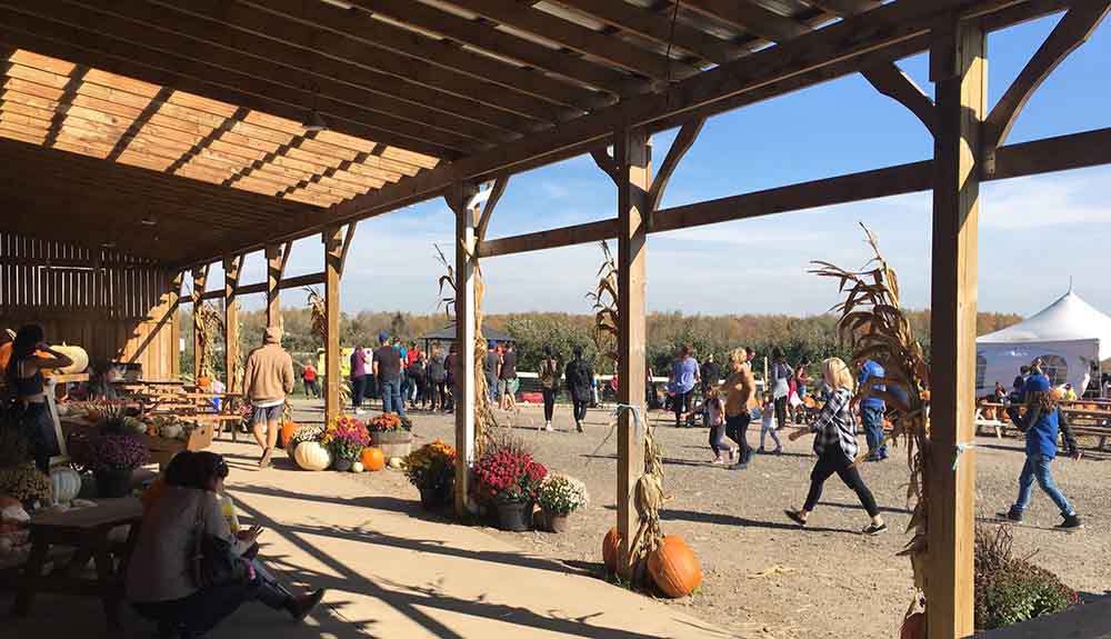 People walking past a barn decorated with pumpkins and hay
