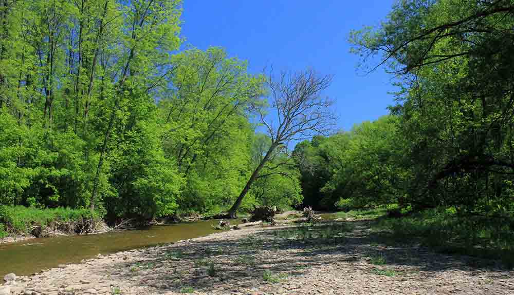 River, trees and a blue sky in Bronte Creek Provincial Park