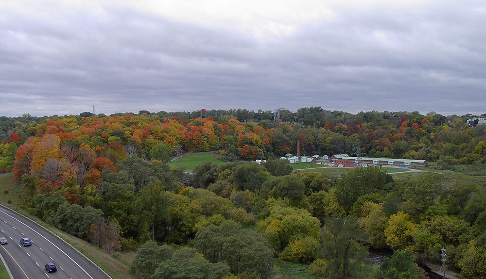 A view of the tree tops in Crothers Woods changing colour from the sky