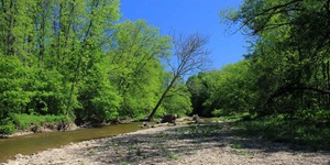 A river, many trees and a blue sky from a hiking trail in the GTA