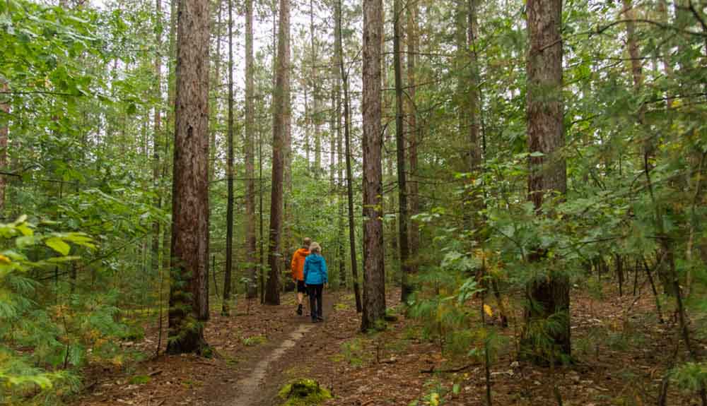 Tall trees surround a couple of hikers at the Tiffin Centre for Conservation