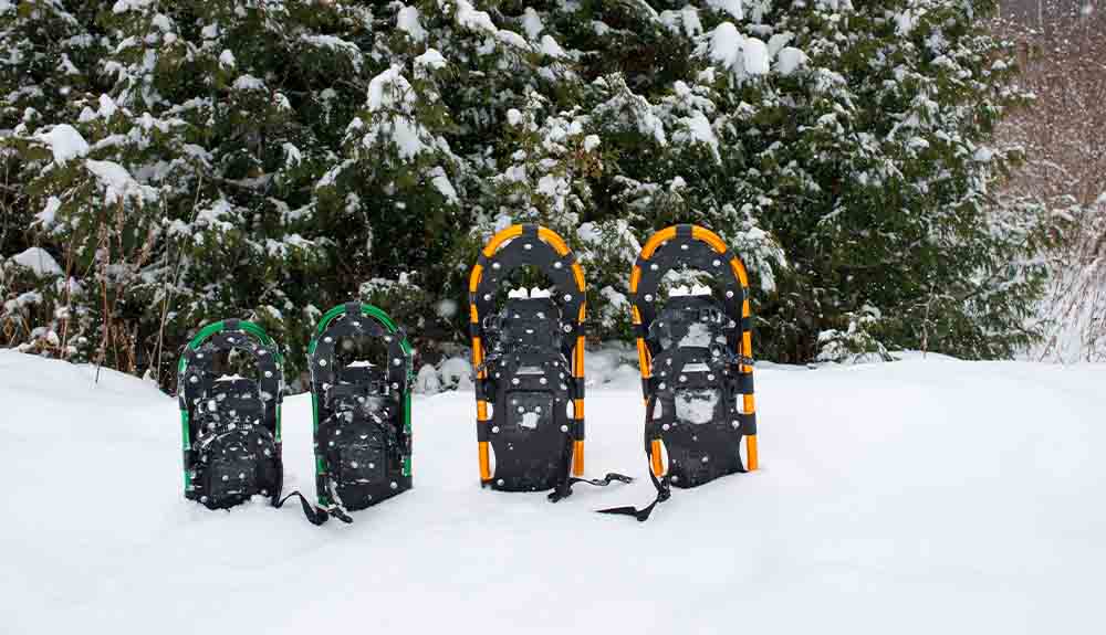 Snow shoes are shown in the snow