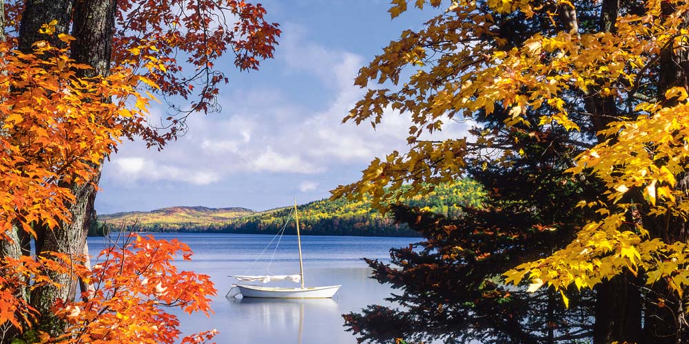 A view of a white sailboat on a calm, blue lake between trees with red and yellow leaves. 