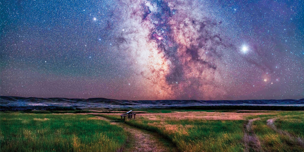 A blue and purple sky filled with stars, over a field.