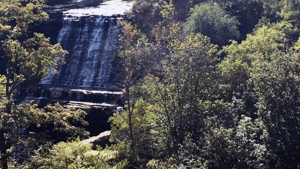 GIF of bubbling waterfall seen among trees