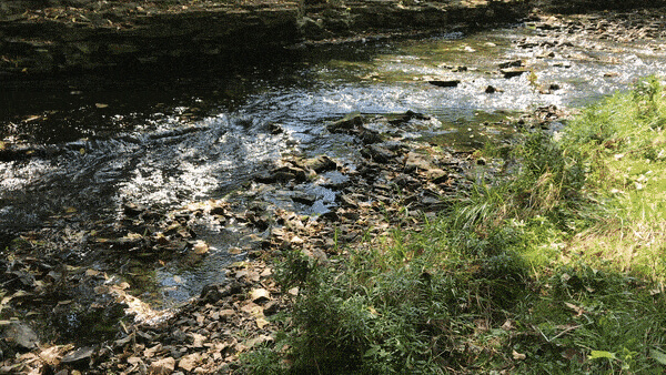 GIF of bubbling and rocky stream