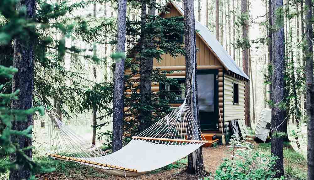 Hammock hangs from two trees with a tiny cabin behind it