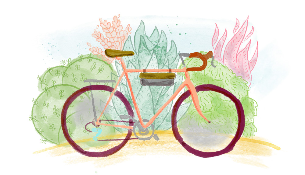 Illustration of red road bike in front of colourful plants and succulents