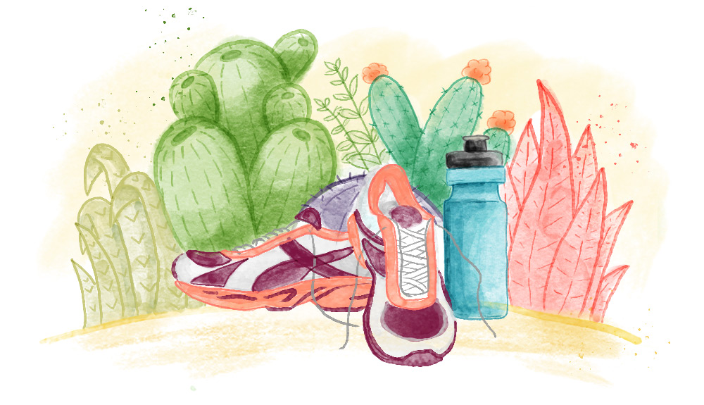 Illustration of red and purple running shoes, blue water bottle in front of colourful succulents and plants