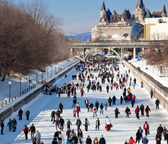 A long outdoor ice rink, with a crowd of skaters out on the ice. In the background there is a bridge and beyond that is a large, castle-esque building.