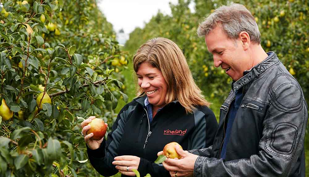 Ricardo Larrivee picks apples from an orchard with a woman wearing a Vineland sweatshirt