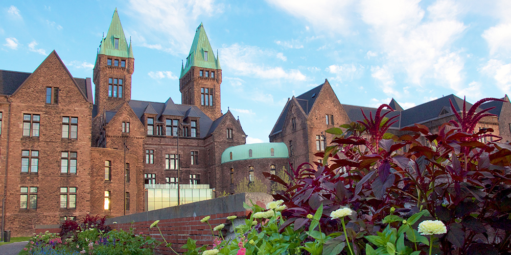 Brownstone buildings in Buffalo are seen in the background, lush plants catch the focus in the foreground