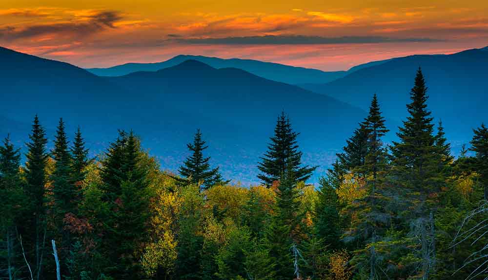 Lush green trees seen in front of the dramatic White Mountains in front of an orange sky