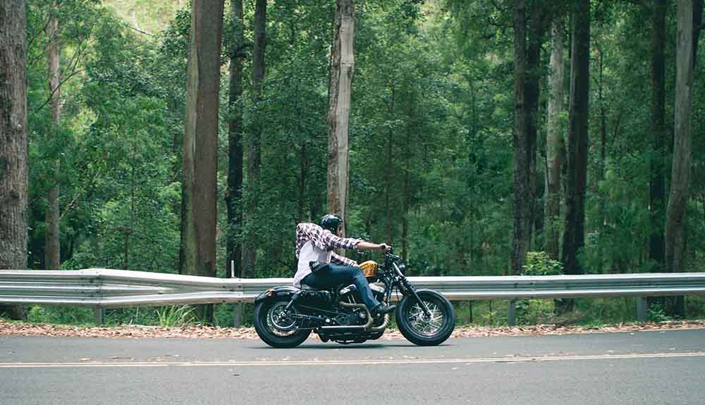 A man in flannel shirt is seen atop of black motorcycle speeding down a tree-lined highway