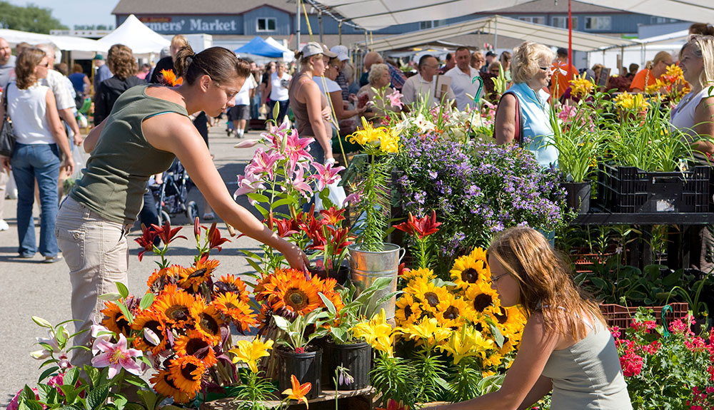 Shoppers browse at a flower stand at the St. Jacobs Market