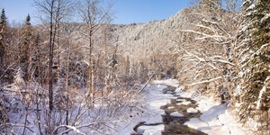 Gorgeous outdoor winter scene with a snowy iced-over river and bare trees covered in a fresh sprinkling of snow