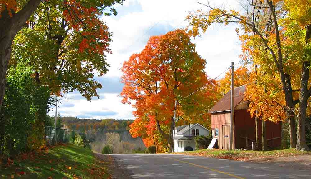 View of road going past brick building and fall colours in Kawarthas Northumberland