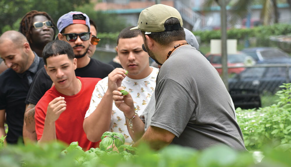 Group of people tasting fresh herbs grown at Frutos del Guacabo in Manati Puerto Rico