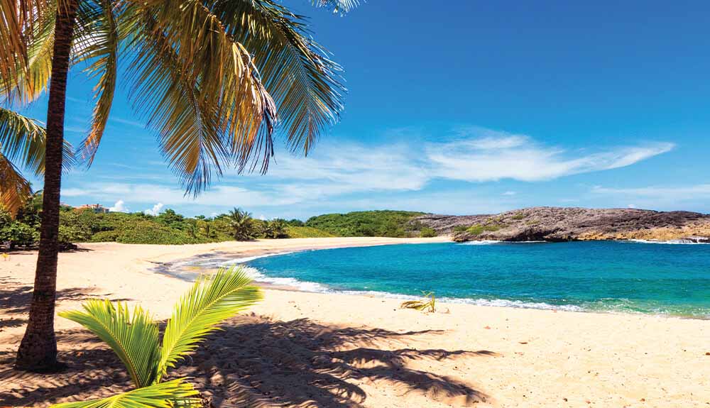 Palm tree, sand, water and rock formation at Playa Mar Chiquita in Manati Puerto Rico