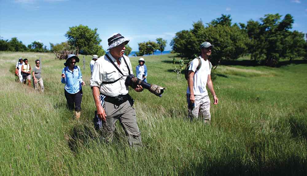 Group of people walking through knee-high grass in field at former sugar estate Hacienda La Esperanza in Manati Puerto Rico
