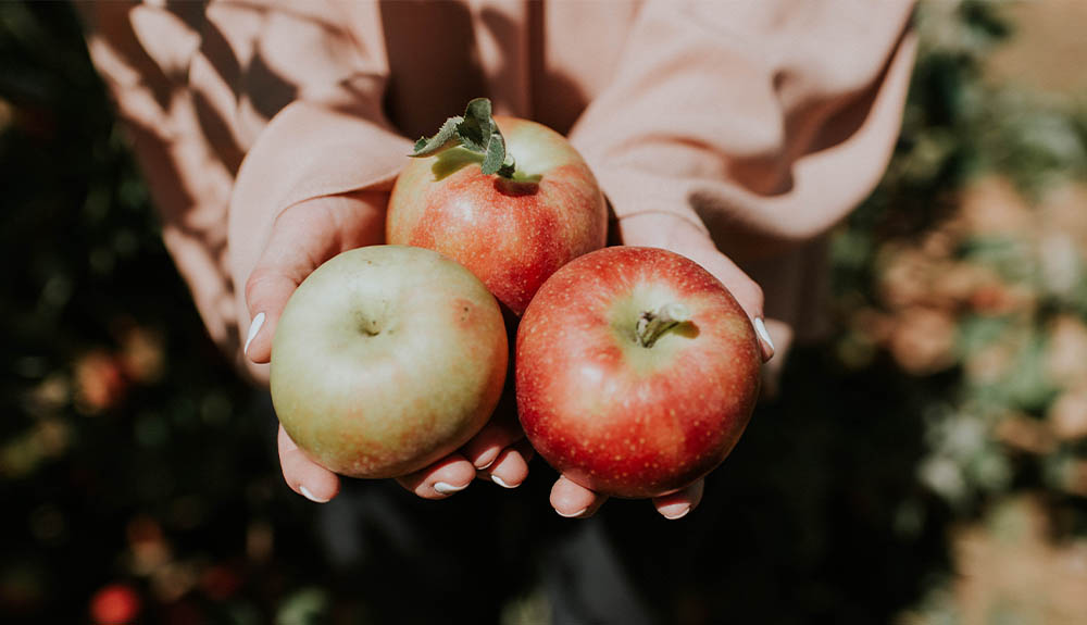 A pair of hands painted with white nail polish holding out three apples. One of the apples has some leaves on it.