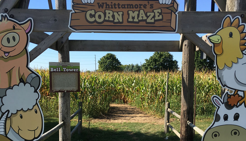 The entrance to the corn maze at Whittamore's Farm in Markham, Ontario, is shown