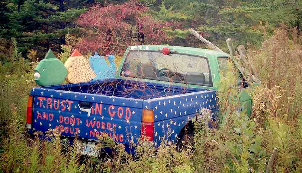 A bright and playfully painted pickup truck hides among the brush
